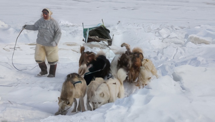 Sila And The Gatekeepers Of The Arctic