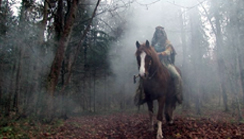 Telegramm: Bodmers Reise von Luke Gasser: Best Documentary